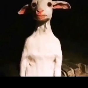 Meet your Posher, Kendry alejandro